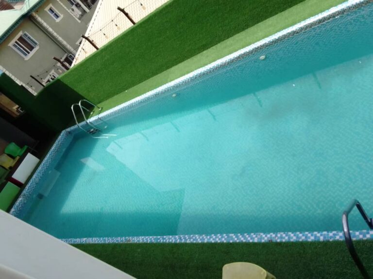 royal-rex-swimming-pool